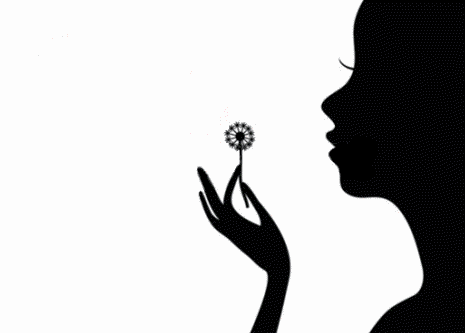 http://www.objectif-danse.fr/annonce/voeux/coeur_souffle_annee_heureuse.gif